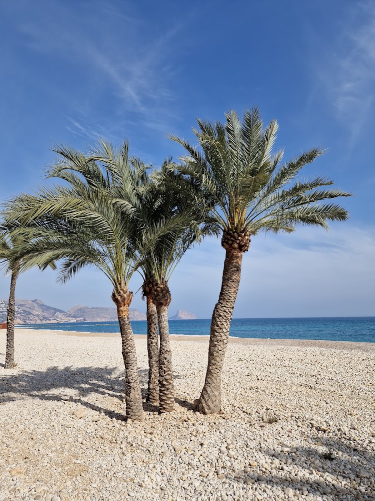 Platja de l'Espigó