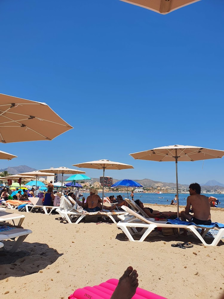 Platja de gossos del Campello Punta del Riu