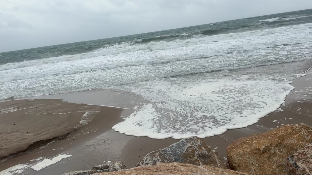 Platja de gossos del Campello Punta del Riu