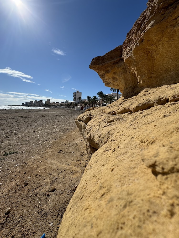 Platja de gossos del Campello Punta del Riu
