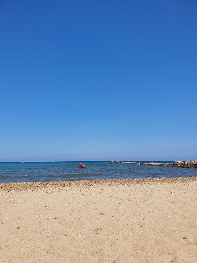Platja de gossos del Campello Punta del Riu