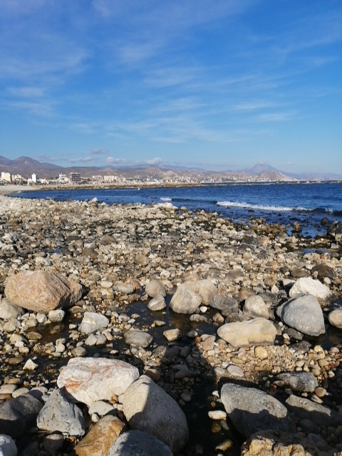 Platja de gossos del Campello Punta del Riu