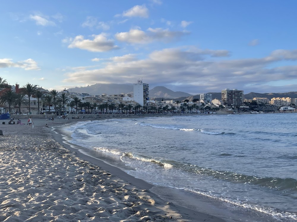 Platja de gossos del Campello Punta del Riu
