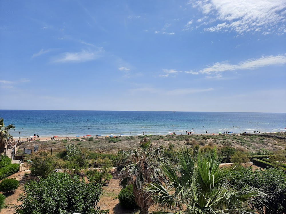 Dunes de la platja de Guardamar de La Safor