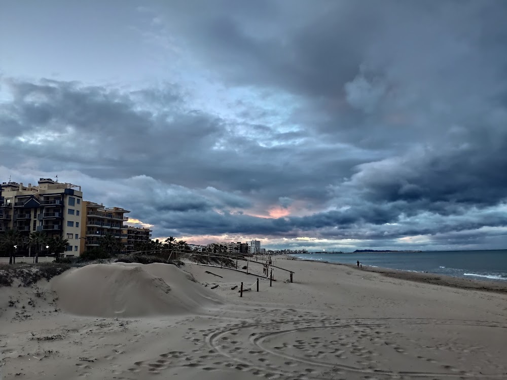 Dunes de la platja de Guardamar de La Safor