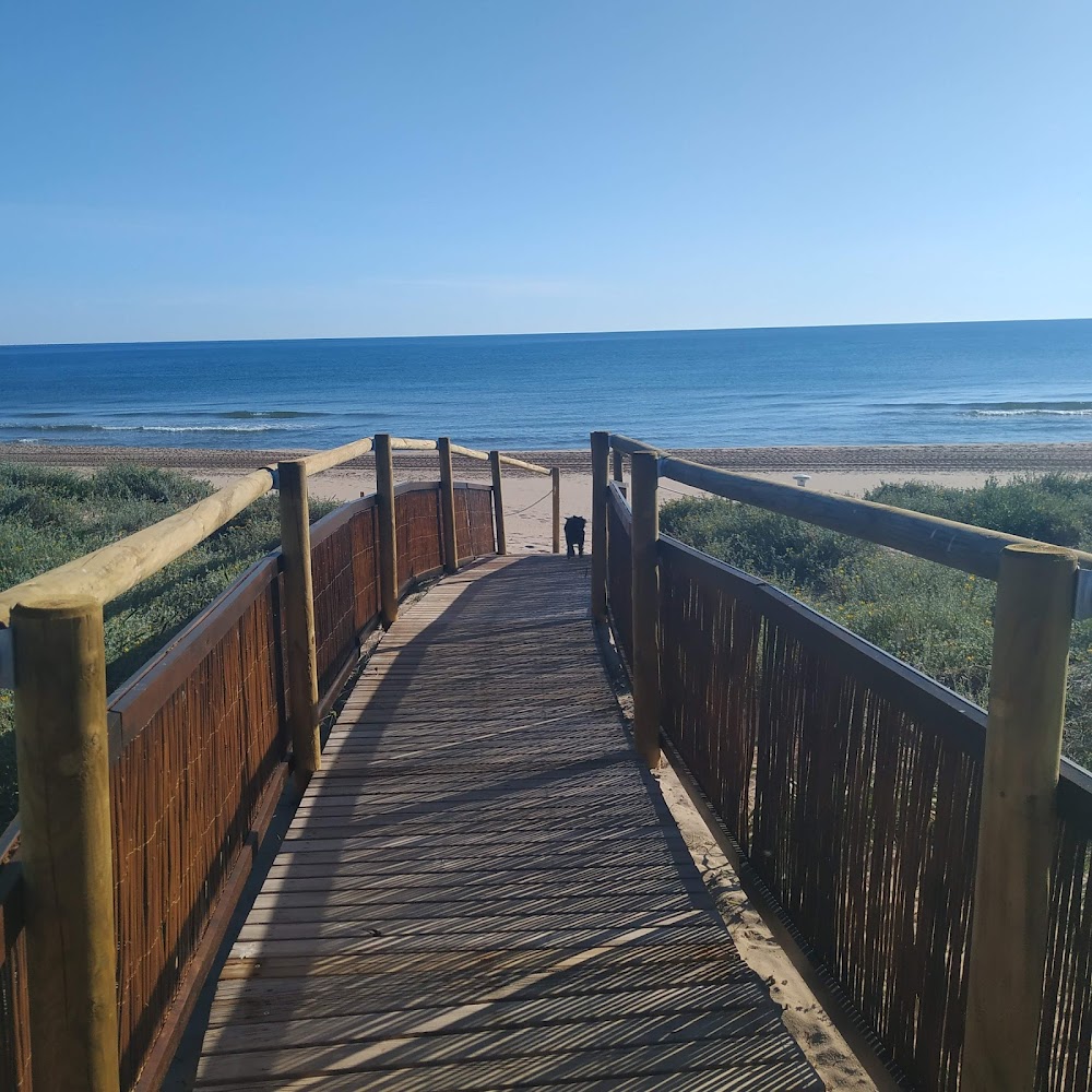 Dunes de la platja de Guardamar de La Safor