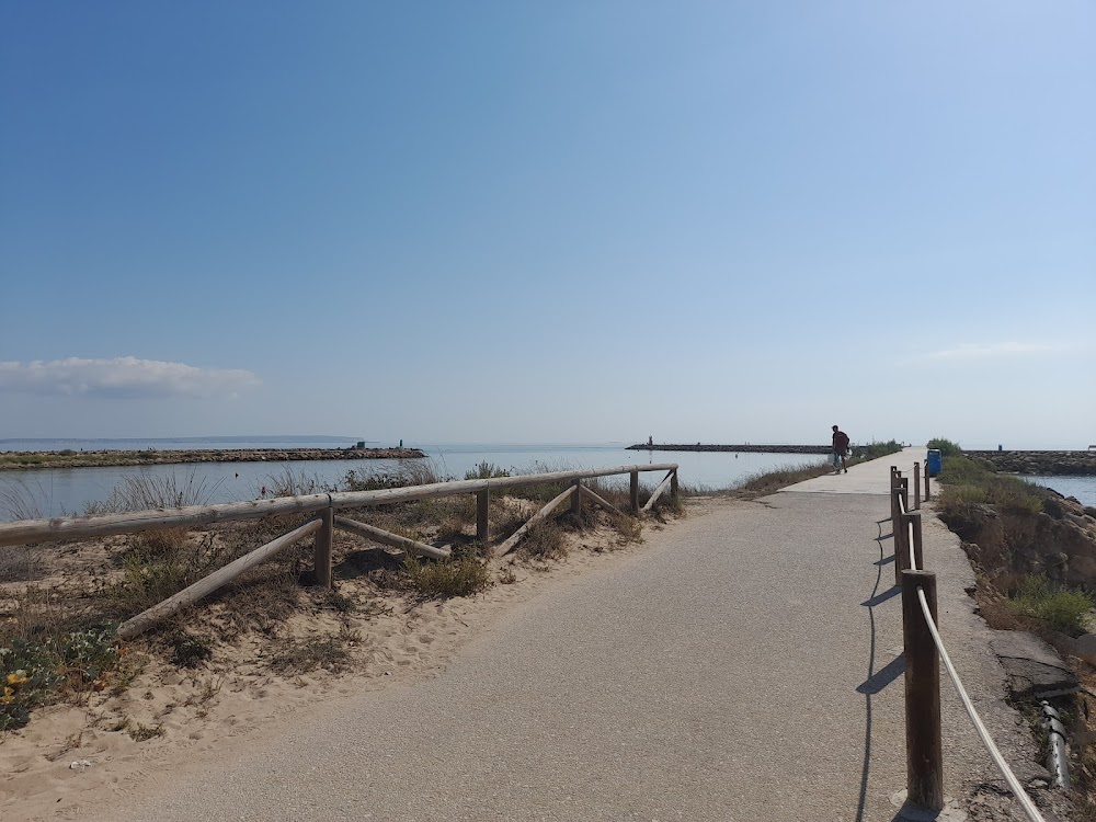 Dunes de la platja de Guardamar de La Safor