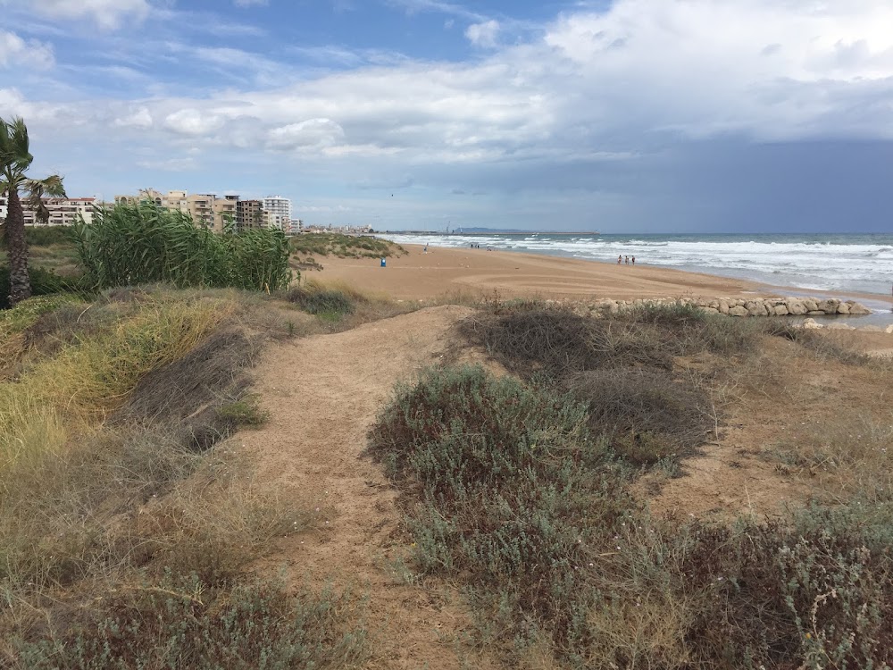 Dunes de la platja de Guardamar de La Safor