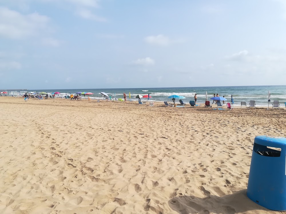 Dunes de la platja de Guardamar de La Safor