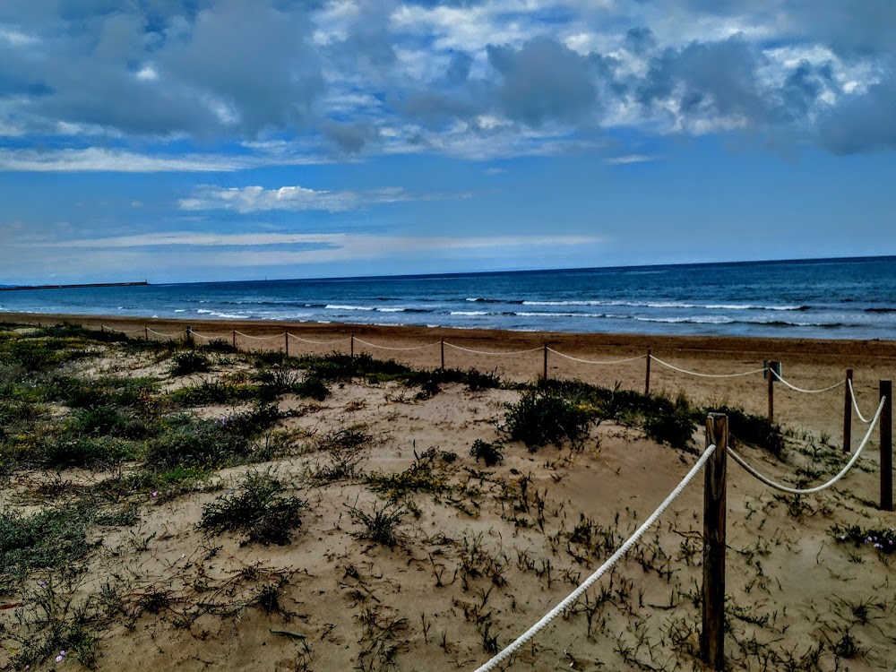 Dunes de la platja de Guardamar de La Safor