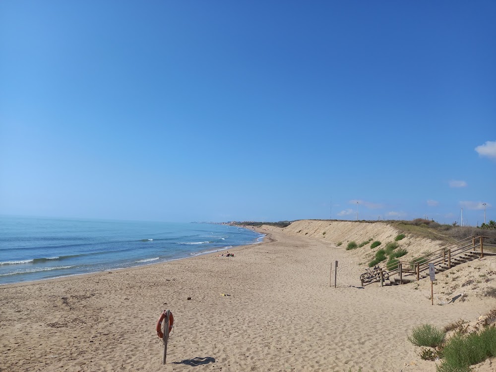 Dunes de la platja de Guardamar de La Safor