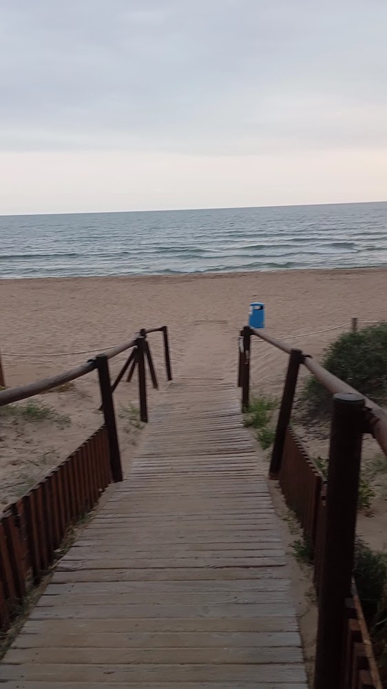 Dunes de la platja de Guardamar de La Safor