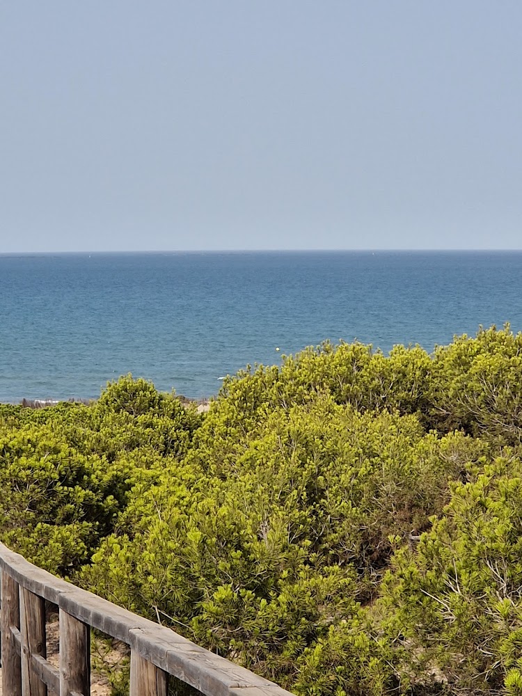 Playa del Campo