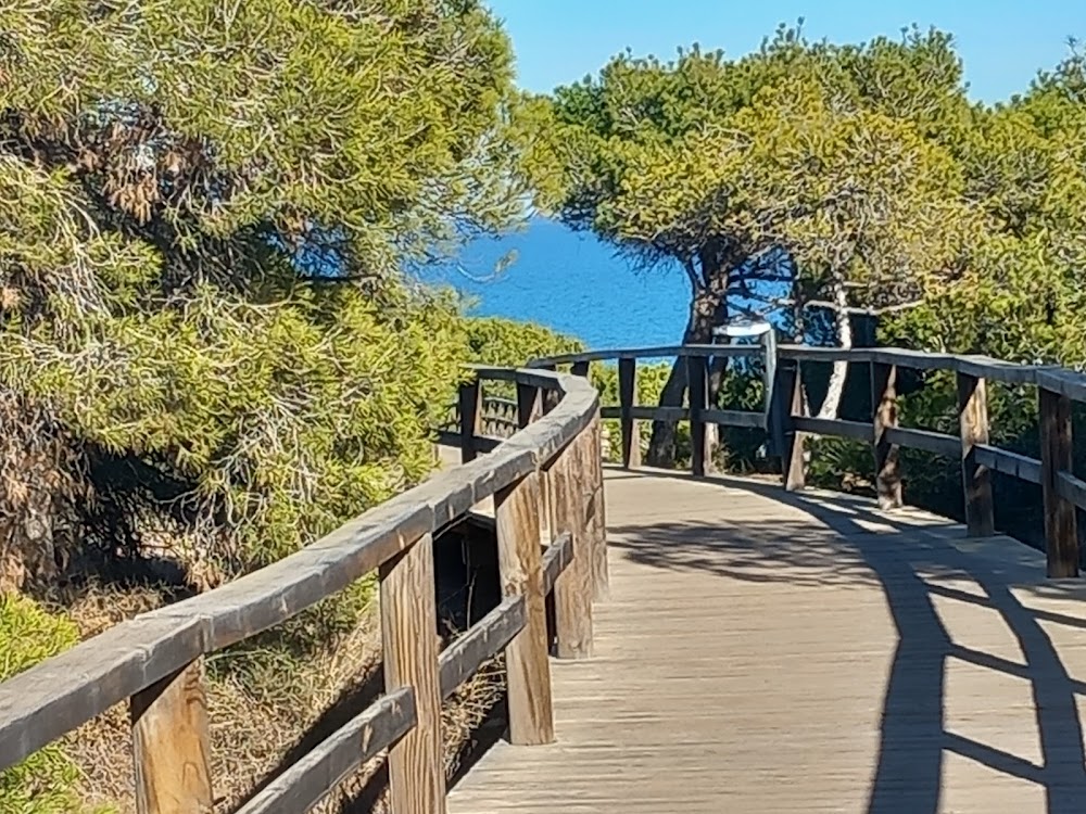 Playa del Campo