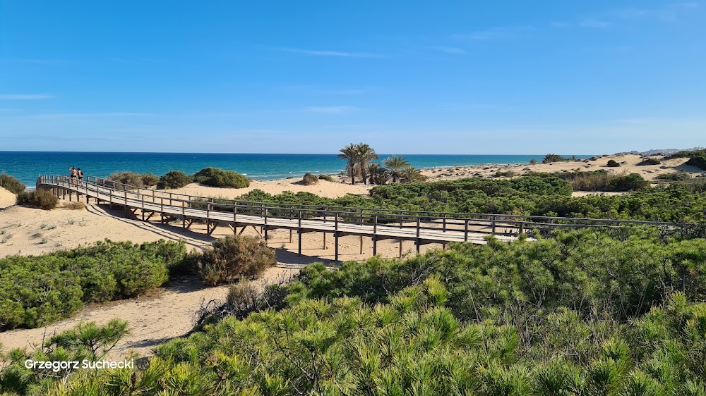 Playa del Campo
