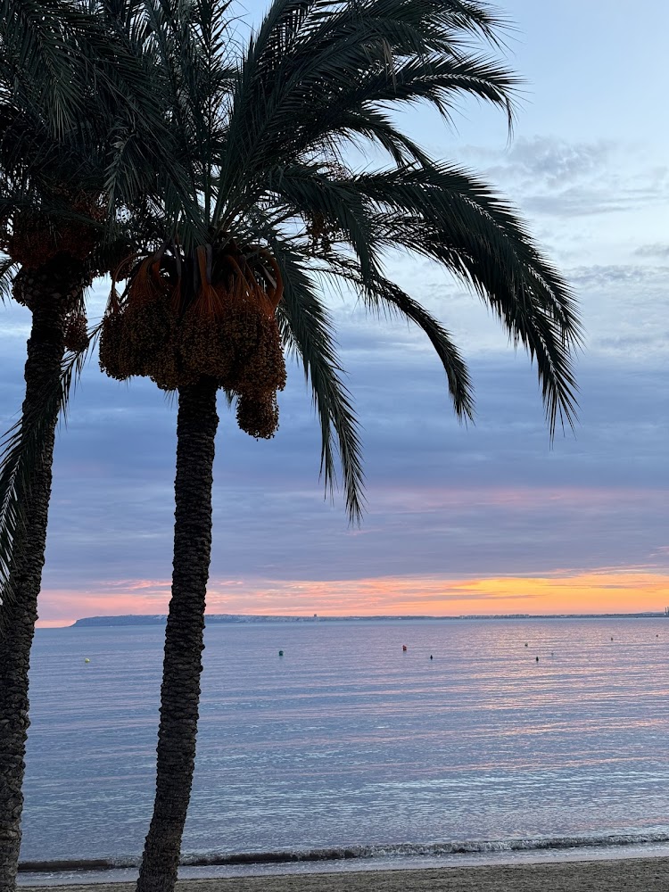 Playa de la Albufereta