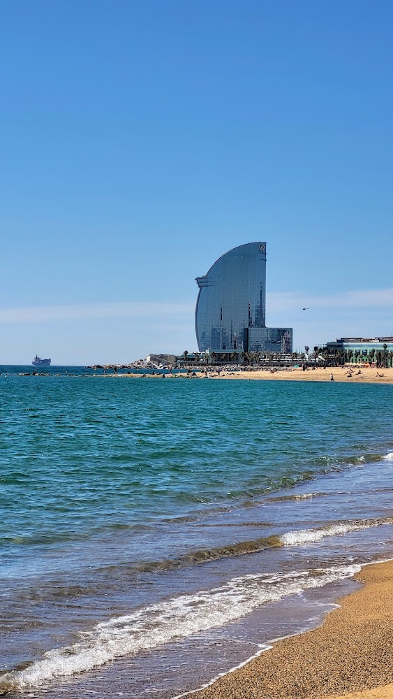 Playa de la Barceloneta