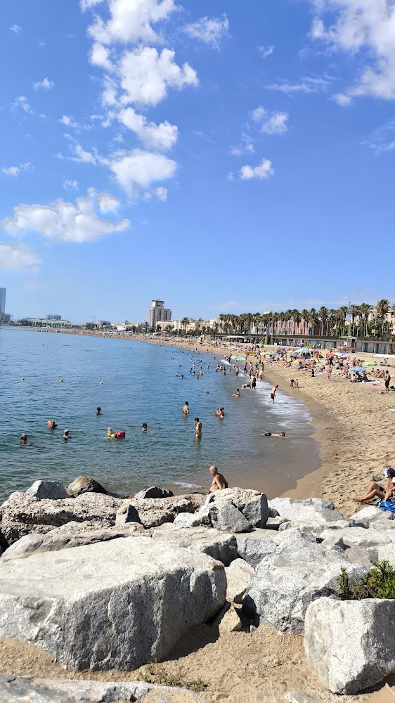 Playa de la Barceloneta