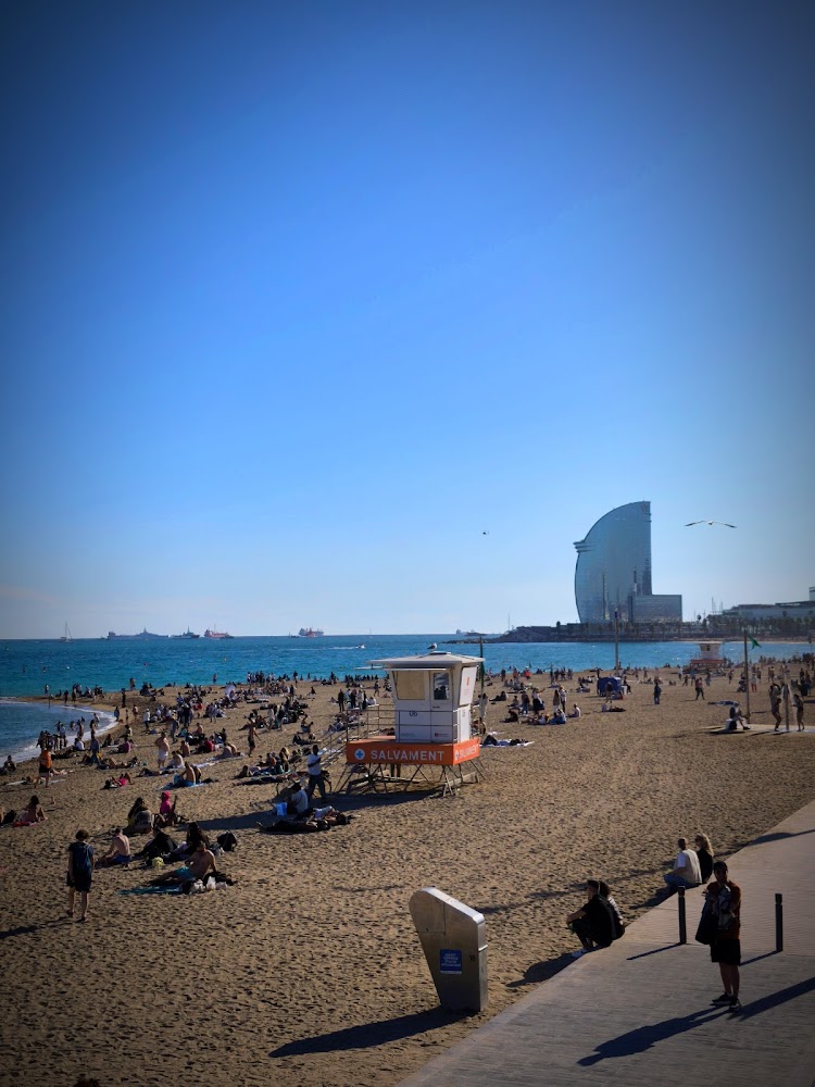 Playa de la Barceloneta