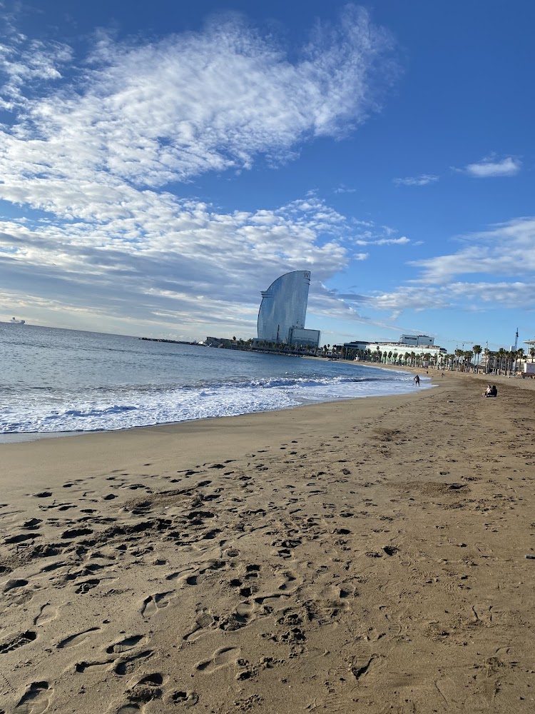Playa de la Barceloneta