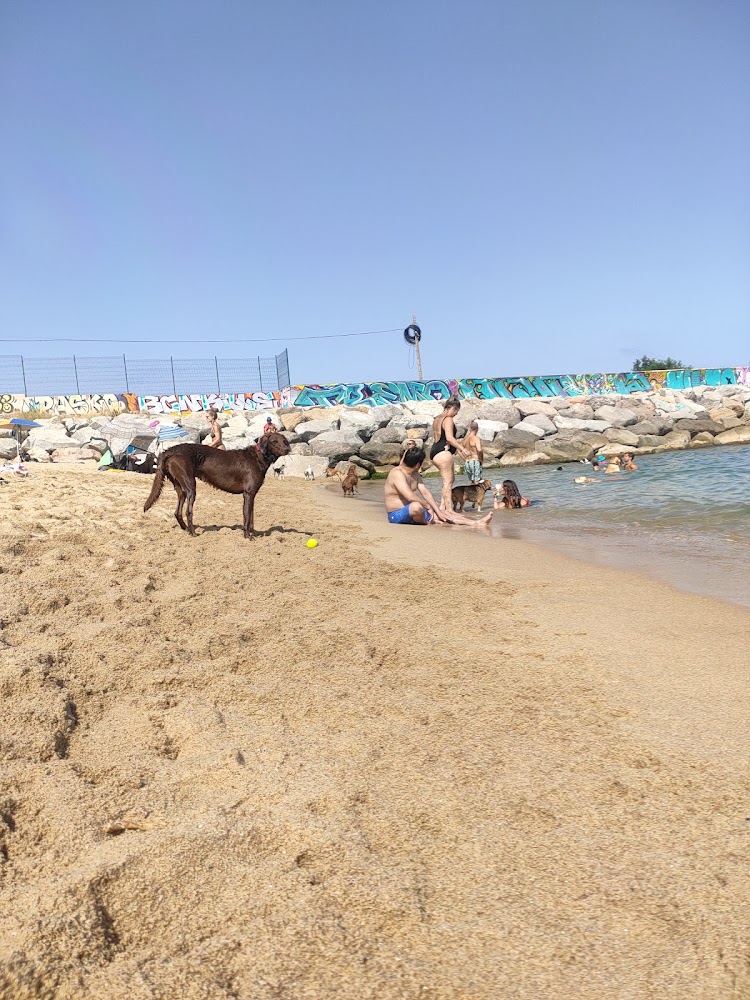 Playa de Levante