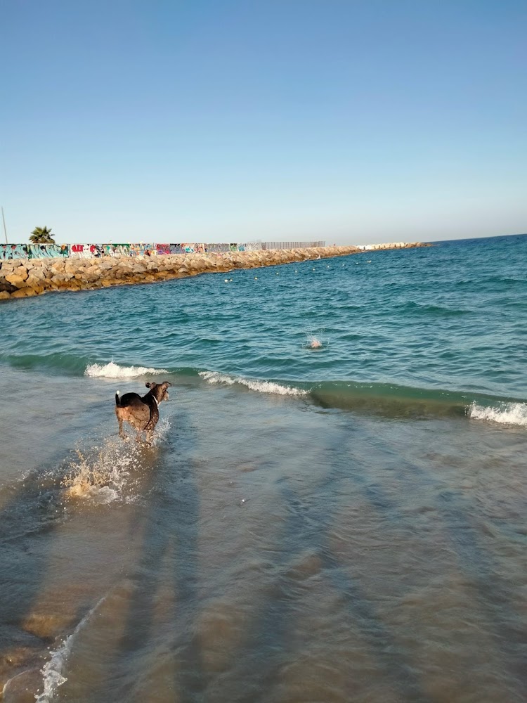 Playa de Levante