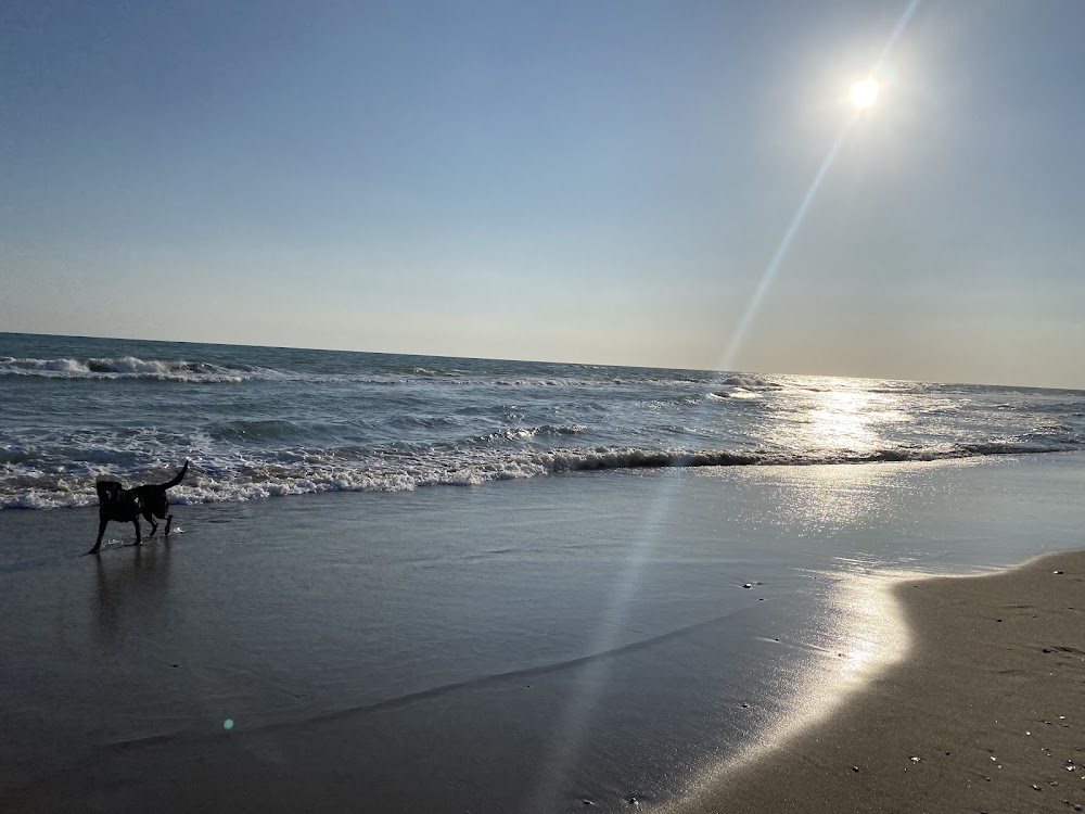Playa de Gavá