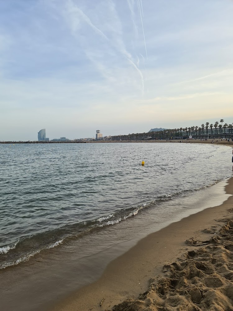 Platja del Somorrostro