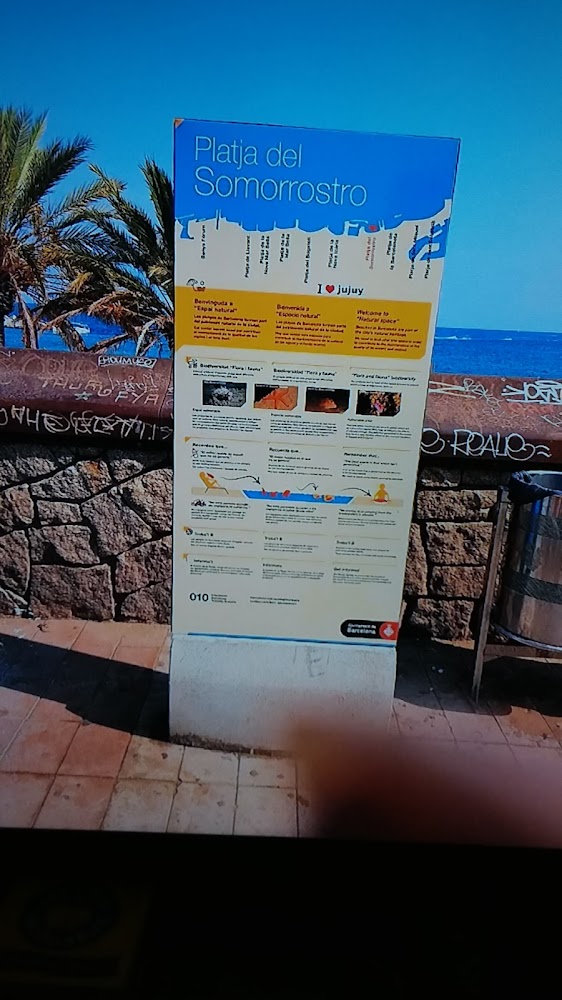 Platja del Somorrostro