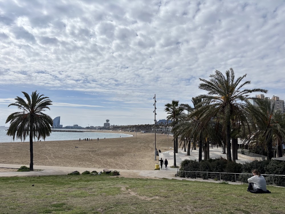 Platja del Somorrostro
