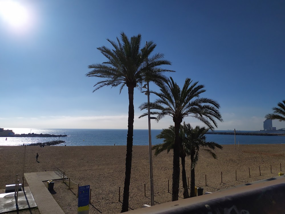 Platja del Somorrostro