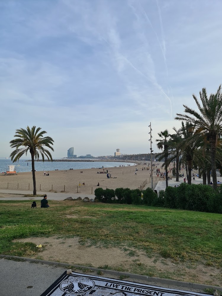 Platja del Somorrostro