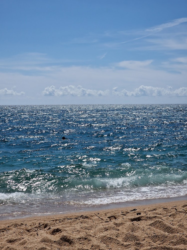 Platja de Calella