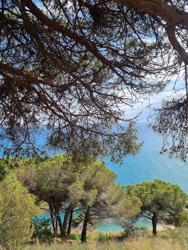 Platja Gran de Calella