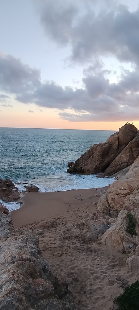 Platja Gran de Calella