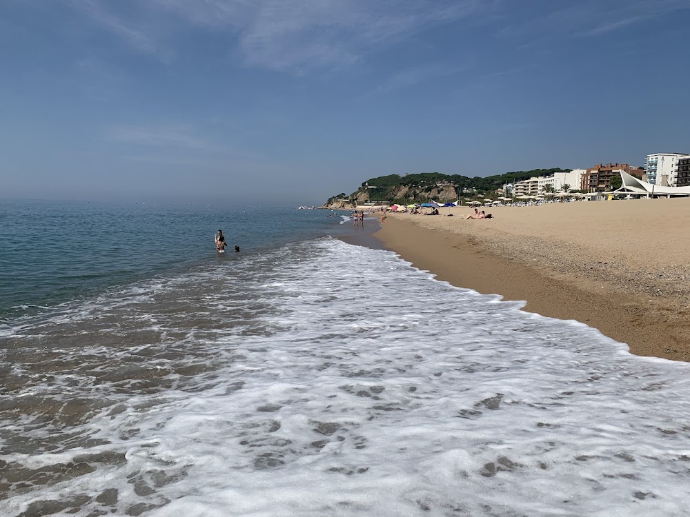 Platja Gran de Calella