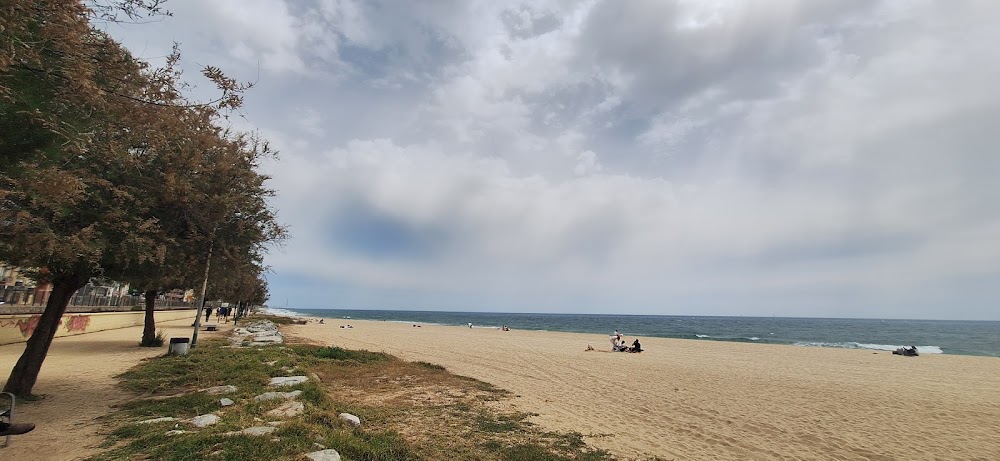 Platja El Masnou