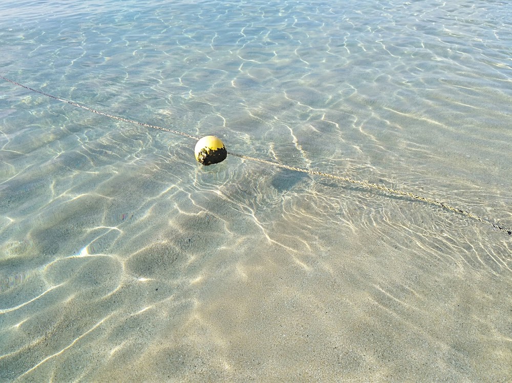 Platja El Masnou