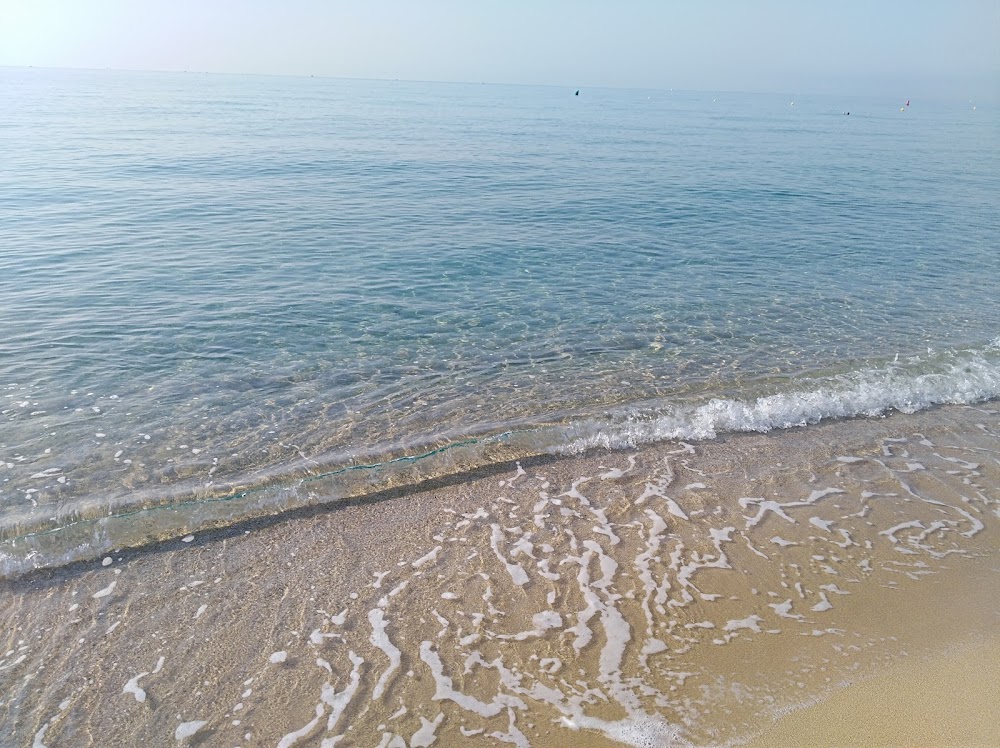 Platja El Masnou