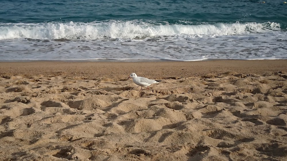 Platja Malgrat Centre