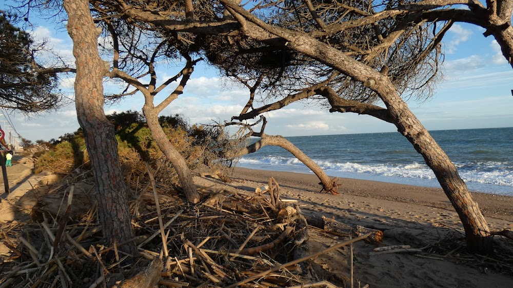 Platja Malgrat