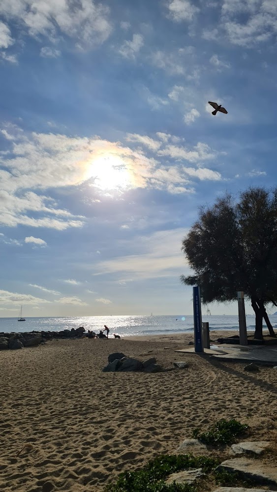 Platja de Bellamar