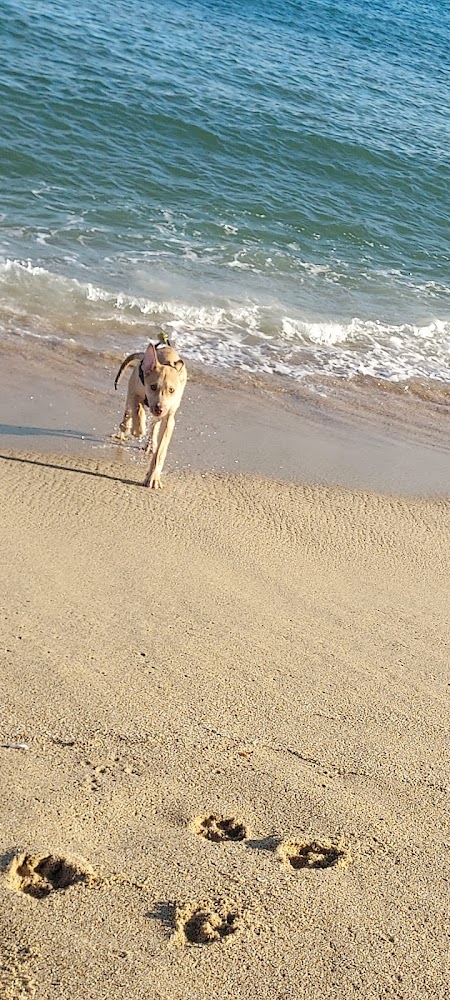 Platja de Bellamar