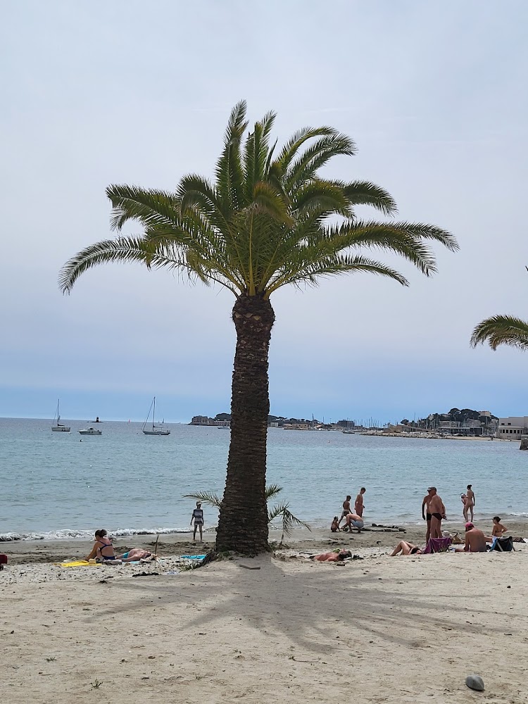 Bandol Port & Plage