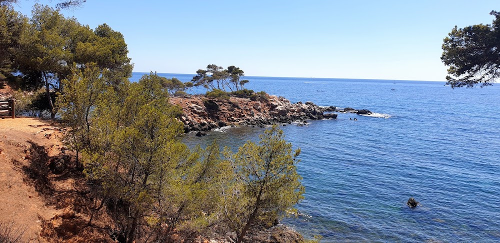 Bandol Port & Plage
