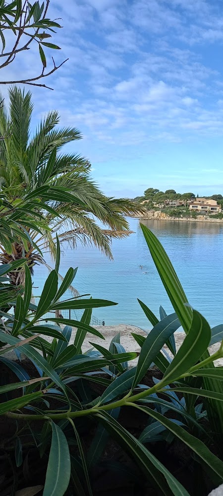 Bandol Port & Plage