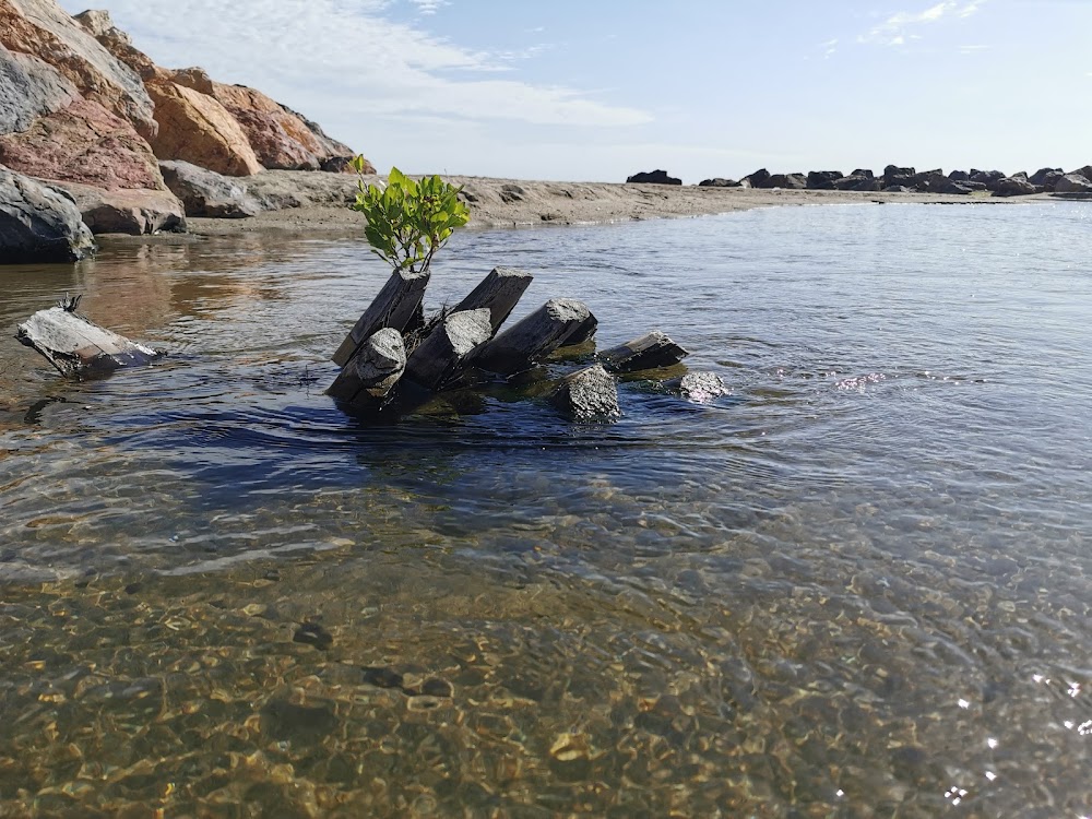 Plage naturiste