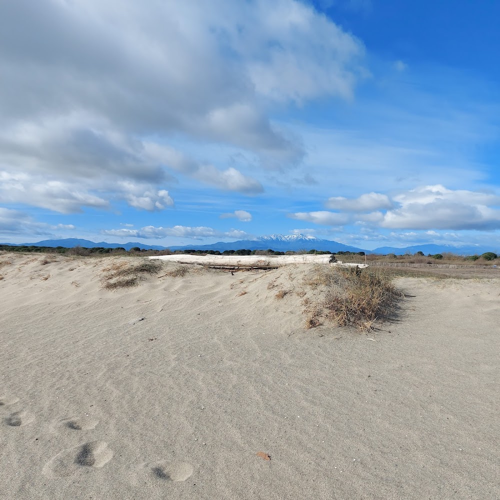Plage naturiste
