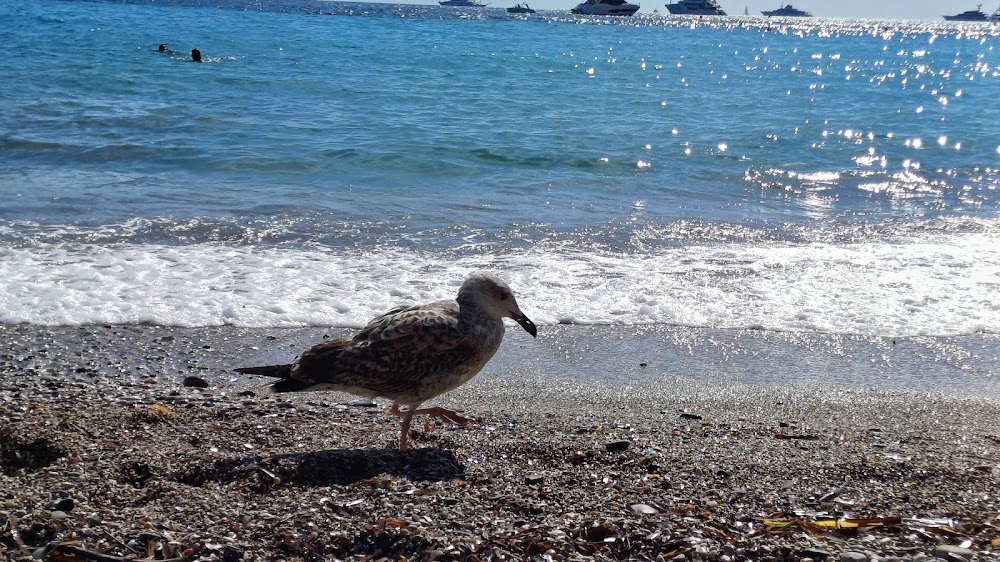 Plage du Buse