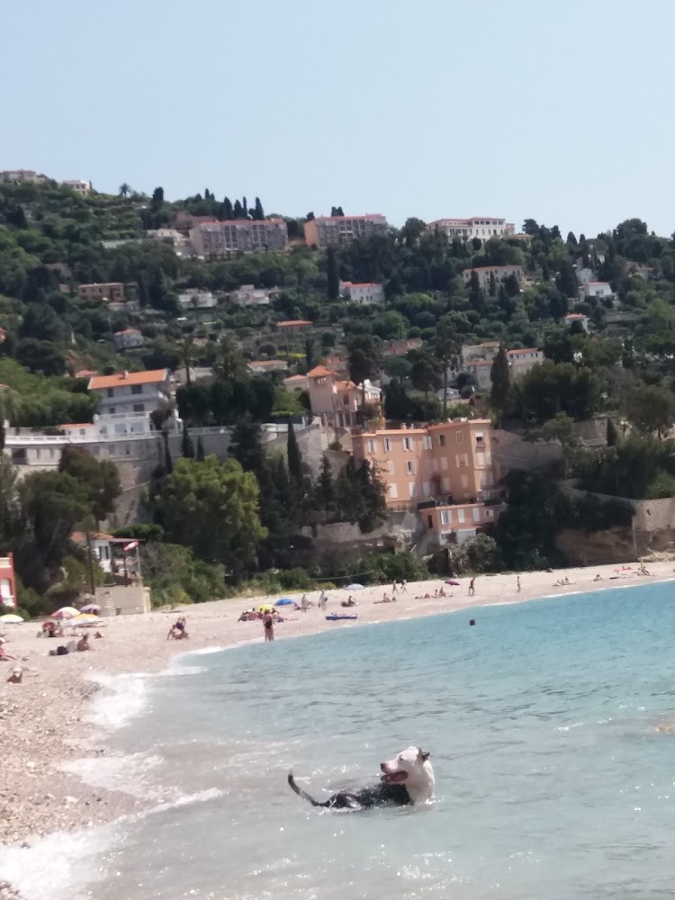 Spiaggia bianca